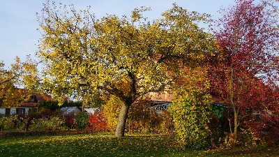 Goldener Oktober in Euerdorf - er hat uns mit Wärme verwöhnt